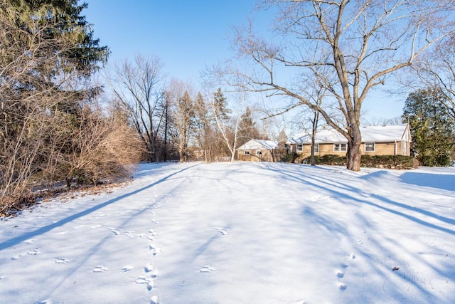 view of yard covered in snow