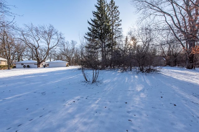 view of snowy yard