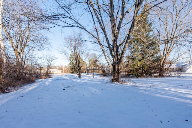 view of yard covered in snow