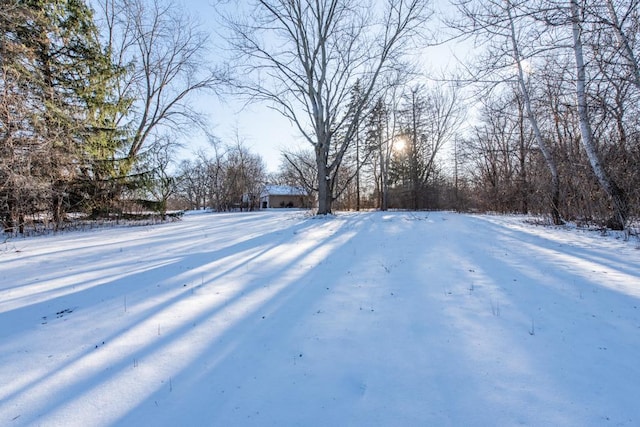 view of yard layered in snow