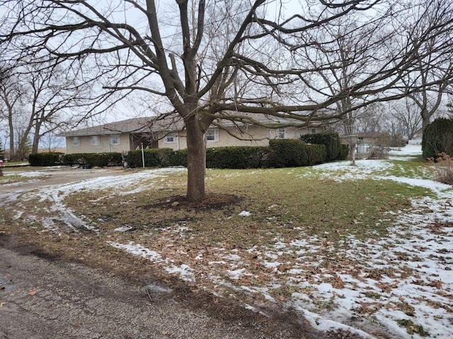 view of snowy yard