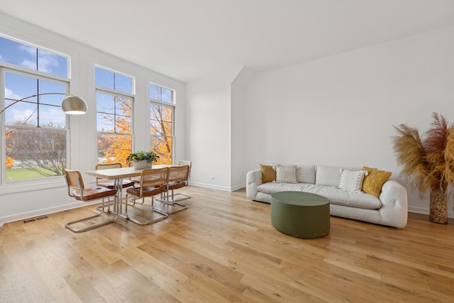 living room featuring light hardwood / wood-style flooring