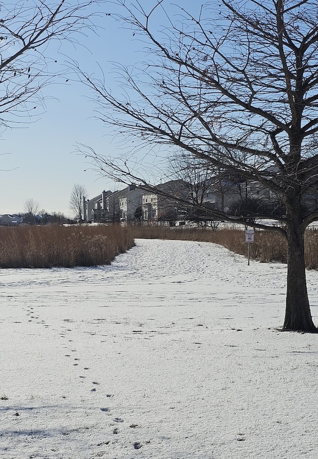 view of yard covered in snow