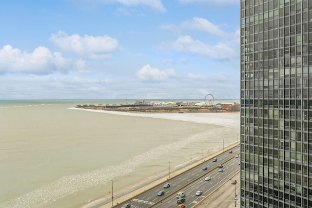 water view featuring a beach view