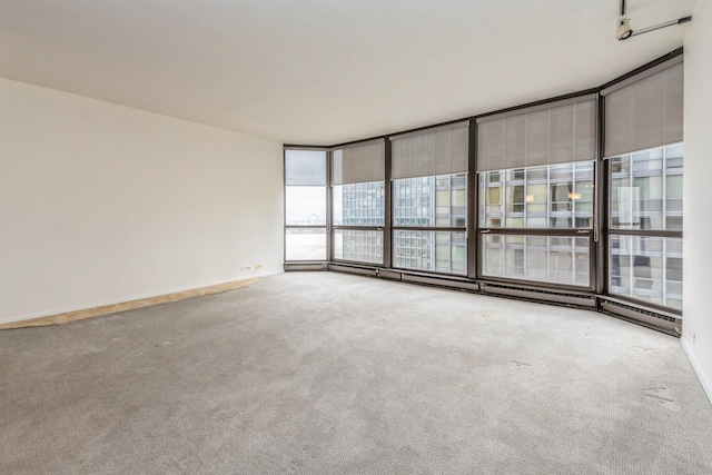 unfurnished room with carpet floors and a wall of windows