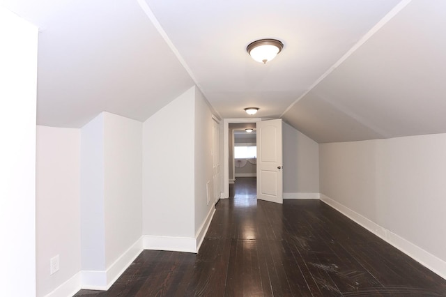 additional living space featuring dark hardwood / wood-style floors and lofted ceiling