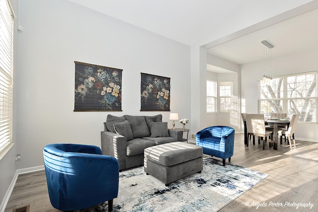 living room with a chandelier, a healthy amount of sunlight, and wood-type flooring