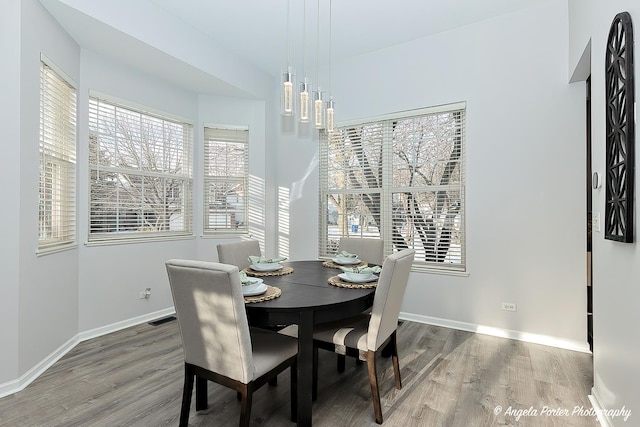 dining space featuring hardwood / wood-style flooring