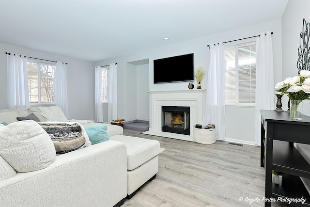 living room with a tile fireplace and light hardwood / wood-style floors