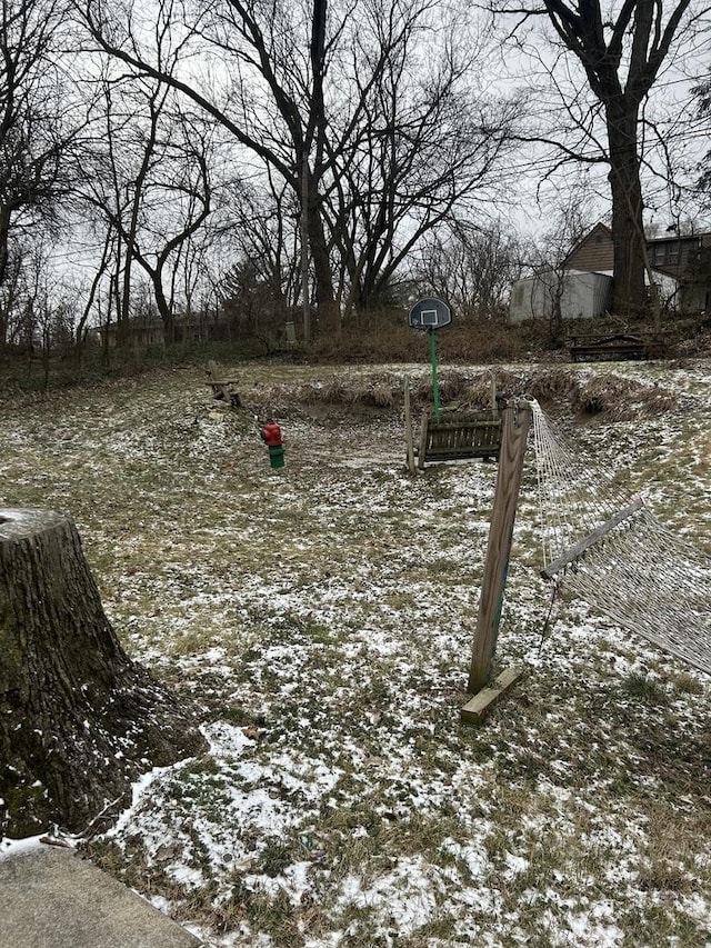 view of yard covered in snow