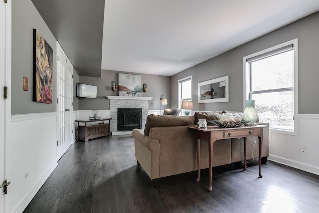 living room with dark hardwood / wood-style floors, a stone fireplace, and a wealth of natural light