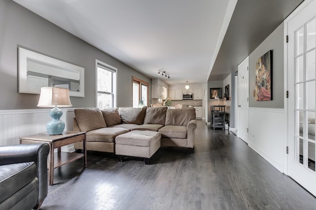 living room featuring dark hardwood / wood-style flooring