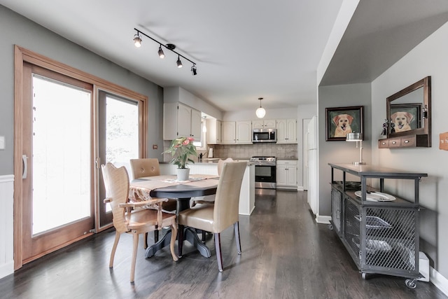 dining space with dark hardwood / wood-style flooring and track lighting