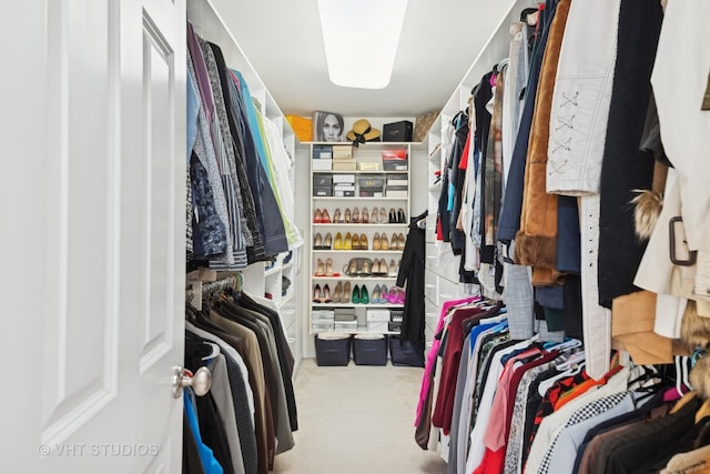 spacious closet with light colored carpet