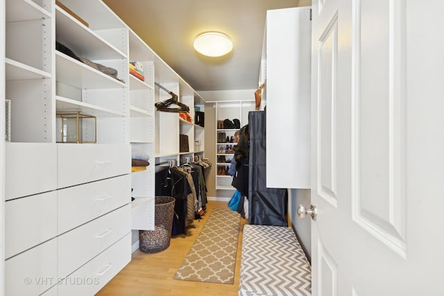 spacious closet featuring light hardwood / wood-style floors