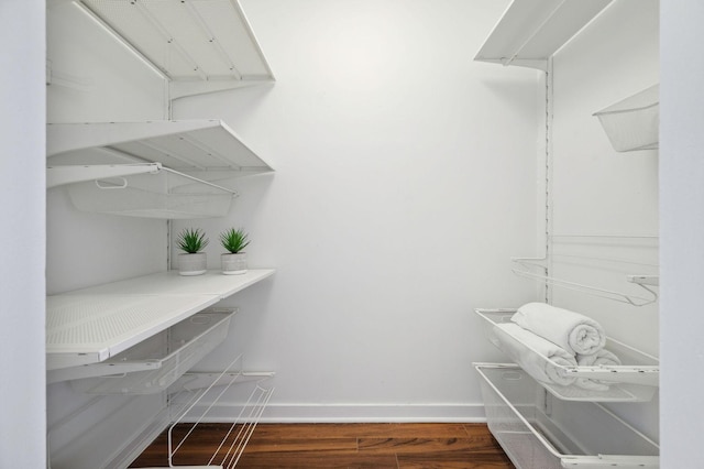 walk in closet with wood-type flooring