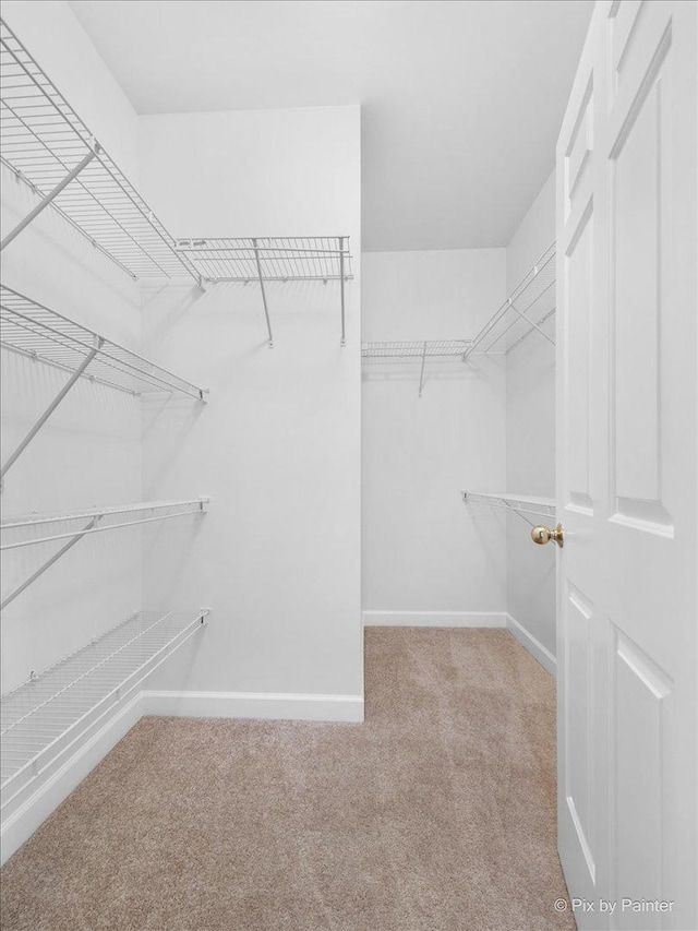 walk in closet with light colored carpet