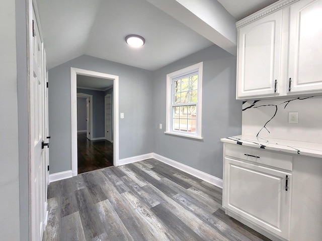 washroom featuring dark hardwood / wood-style floors