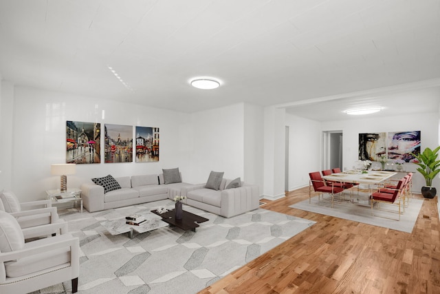 living room featuring light wood-type flooring