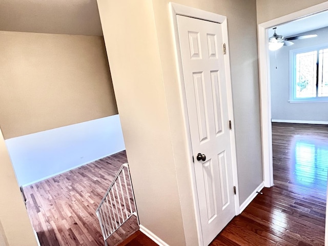 hall featuring dark hardwood / wood-style flooring