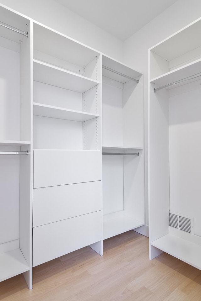 spacious closet with light wood-type flooring