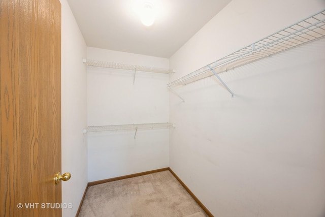 spacious closet with light carpet