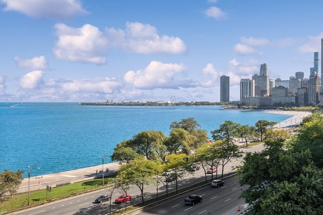 1540 N Lake Shore Dr Unit 8N, Chicago, IL 60610 - photo 30