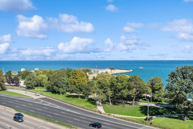 1540 N Lake Shore Dr Unit 8N, Chicago, IL 60610 - photo 31