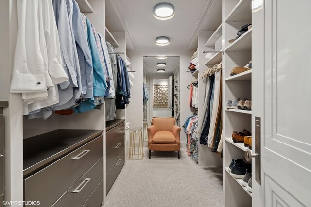 1540 N Lake Shore Dr Unit 8N, Chicago, IL 60610 - spacious closet with carpet flooring