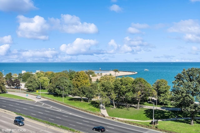 1540 N Lake Shore Dr Unit 8N, Chicago, IL 60610 - water view
