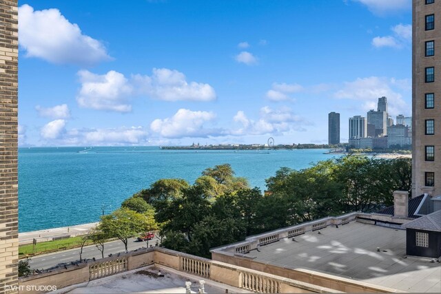 1540 N Lake Shore Dr Unit 8N, Chicago, IL 60610 - water view with skyline