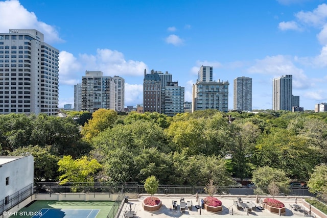 1540 N Lake Shore Dr Unit 8N, Chicago, IL 60610 - view of city skyline with a tree filled landscape
