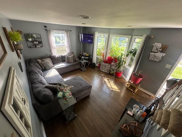 living room featuring dark hardwood / wood-style flooring