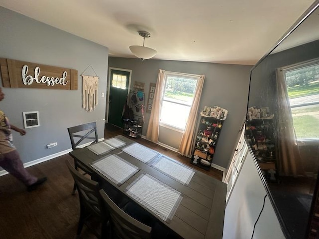 dining room featuring a healthy amount of sunlight and dark hardwood / wood-style flooring