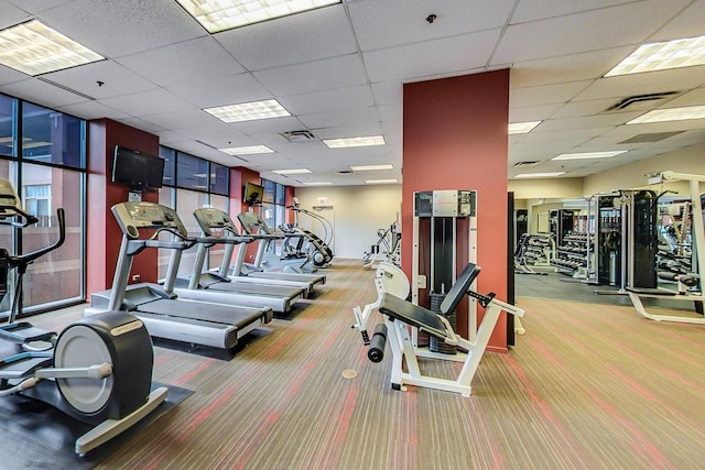 workout area featuring carpet