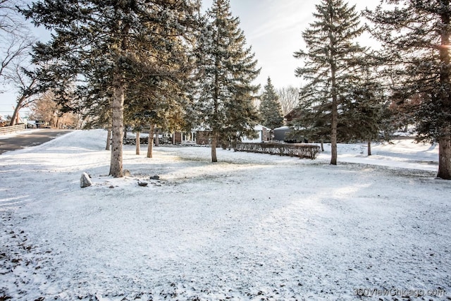 view of yard covered in snow