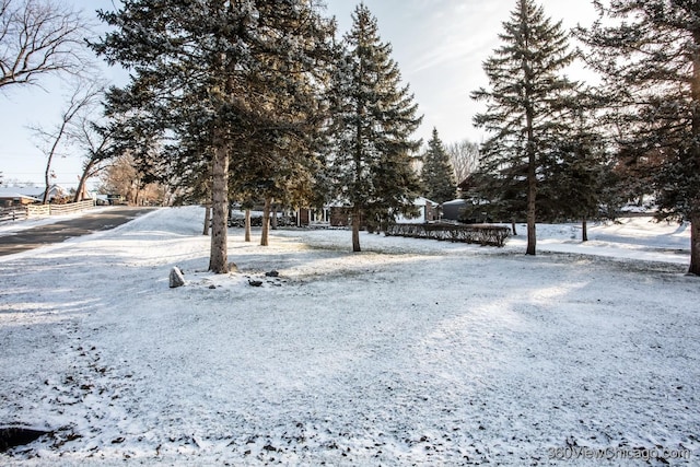 view of yard layered in snow