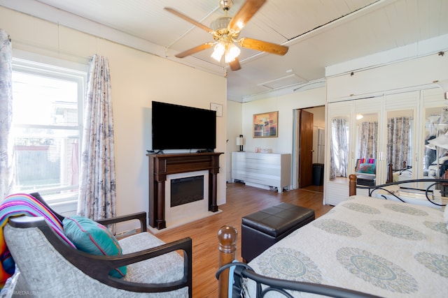 bedroom with ceiling fan, a closet, and light hardwood / wood-style flooring