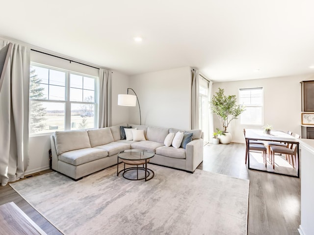 living room featuring light wood-type flooring