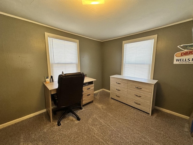 office space with ornamental molding