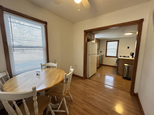 dining room featuring ceiling fan and light wood-type flooring