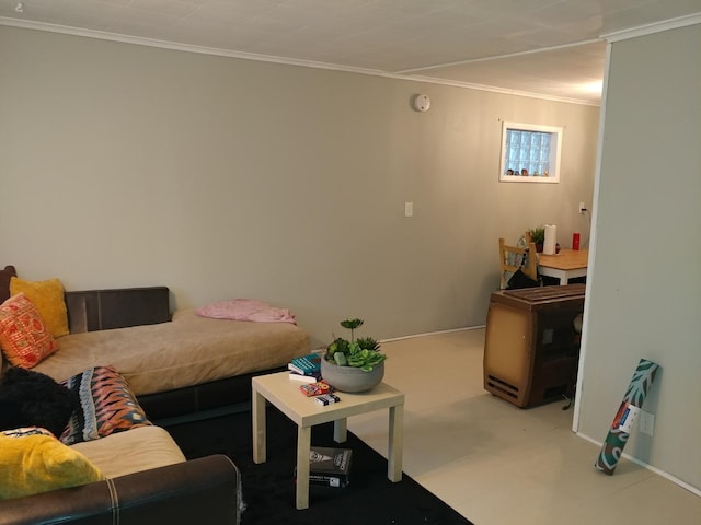 living room featuring crown molding