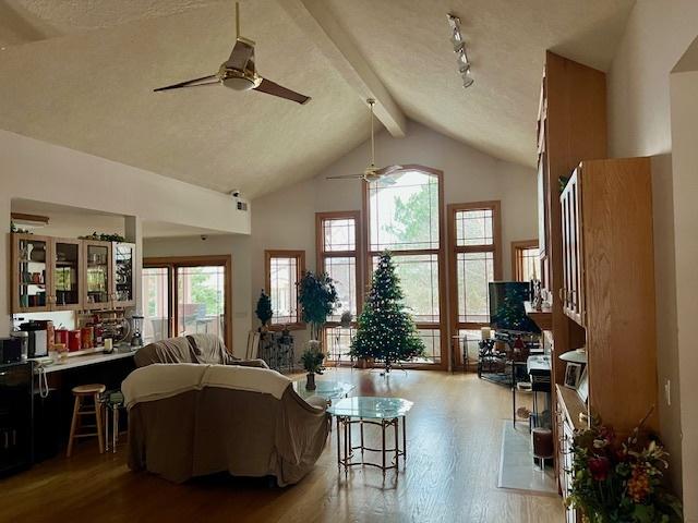 living room featuring beamed ceiling, a textured ceiling, light hardwood / wood-style floors, and a wealth of natural light