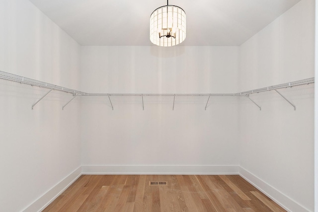 walk in closet with visible vents and light wood finished floors