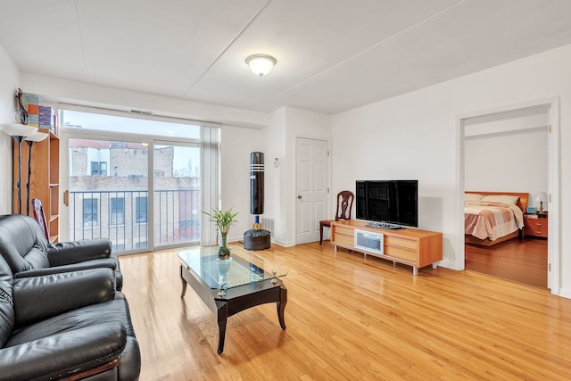 living room with wood-type flooring