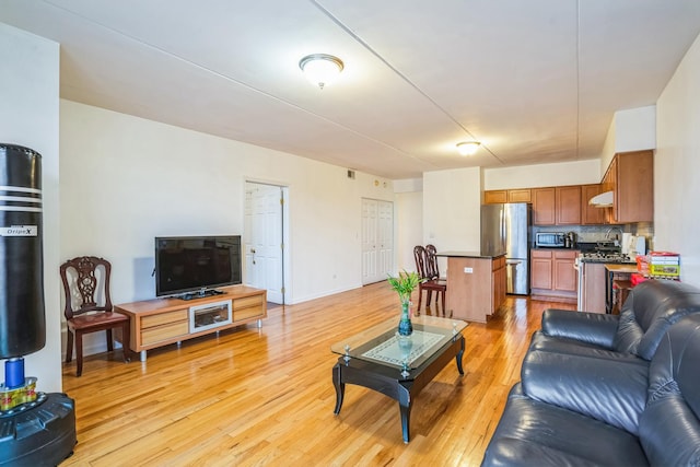 living room with light wood-type flooring