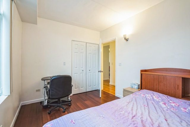 bedroom featuring a closet and dark wood-type flooring