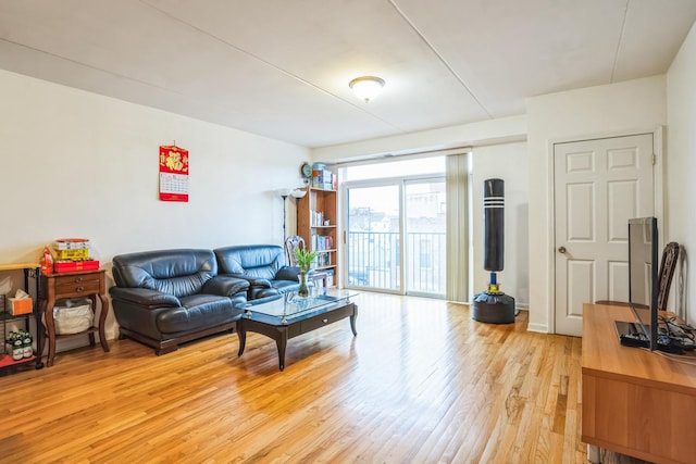 living room featuring light hardwood / wood-style flooring