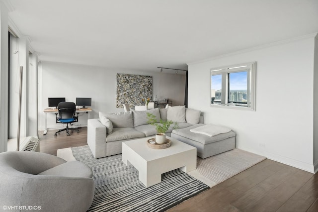 living room with wood-type flooring and rail lighting