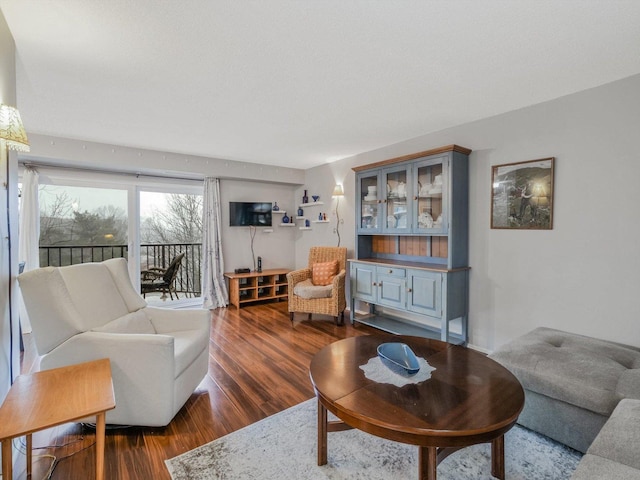 living room featuring dark wood-type flooring